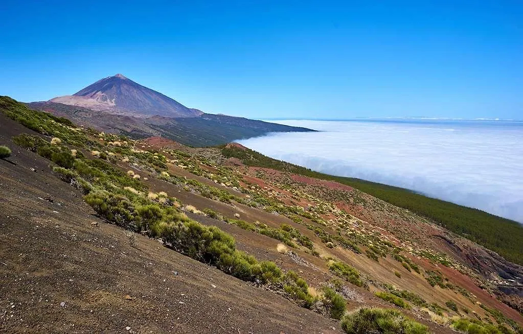Melia Jardines Del Teide - Adults Only Hotel Costa Adeje